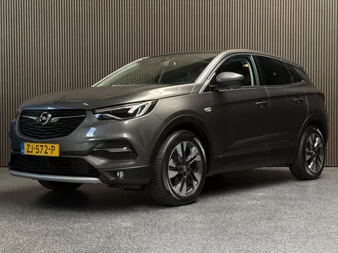Opel Grandland X 1.2 Turbo Business Executive | Automaat | Alle opties | NL Auto